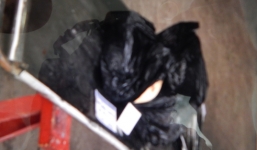 Giây phút phát hiện bao chứa thi thể trong căn nhà có người treo cổ